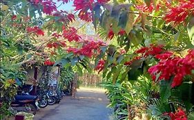 Tribal Village Homestay & Trekking